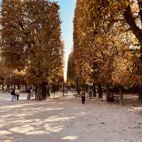 A Parisian Dream: Must-See Attractions and Hidden Gems