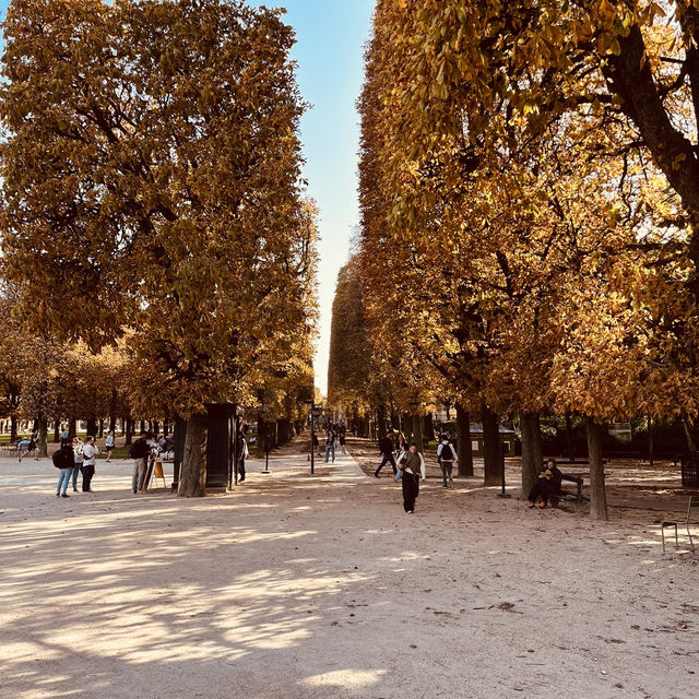 A Parisian Dream: Must-See Attractions and Hidden Gems