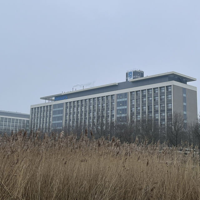 Eindhoven: Where Innovation Meets Art