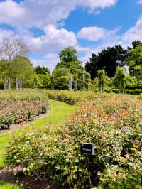 Escape the City: Best Parks & Green Spaces in London 🌿✨