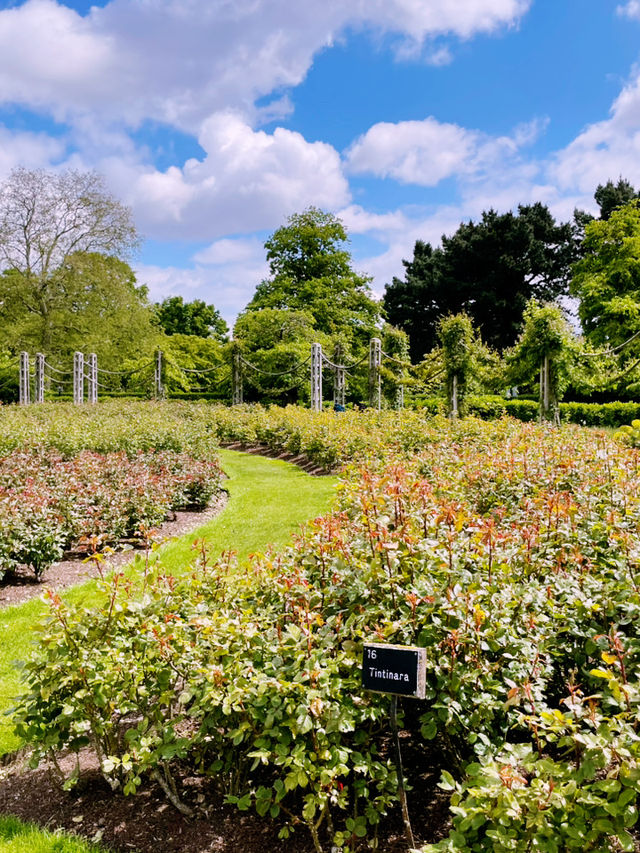 Escape the City: Best Parks & Green Spaces in London 🌿✨