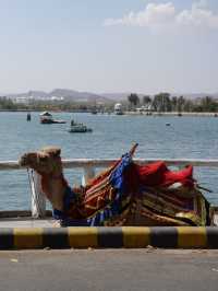 Exploring Udaipur: A City of Lakes and Palaces