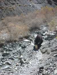Hidden Valley Between Zinchan and Rumbak: A Remote Himalayan Escape