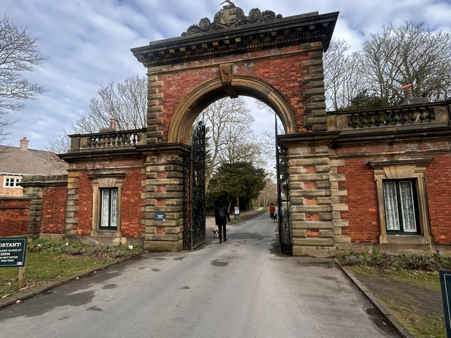 A hall in the woods 