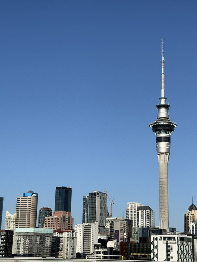 A 360 Ariel View Of Auckland, The Incredible Sky Tower 