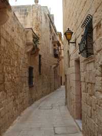 Mdina’s Golden Charm: Malta’s Walled Wonder ✨