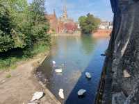 Walking around Bedford