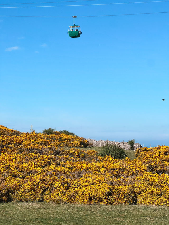 Lovely Day Trip from Manchester to Llandudno, Wales