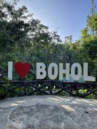 Ever Driven Through a Forest Tunnel? Bohol’s Man-Made Wonder Will Wow You