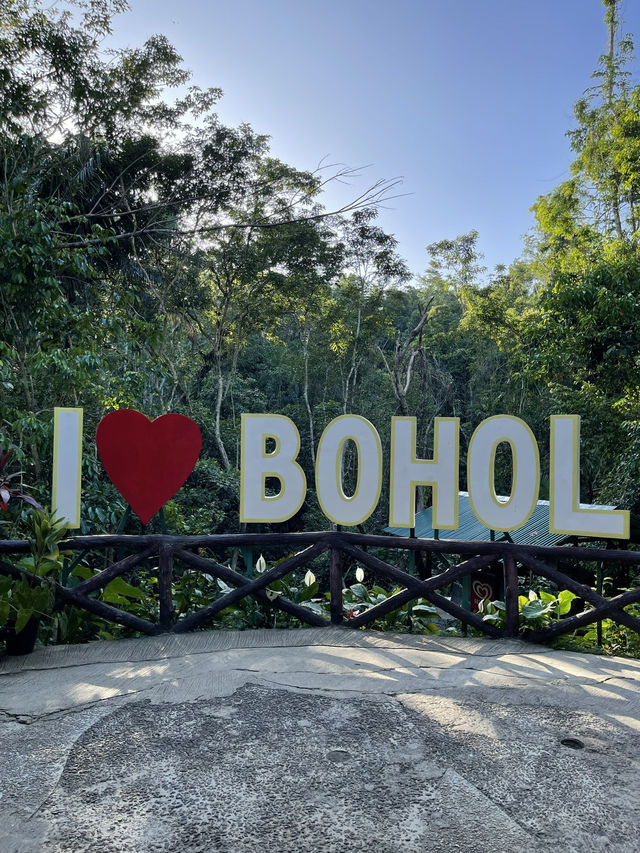 Ever Driven Through a Forest Tunnel? Bohol’s Man-Made Wonder Will Wow You
