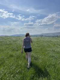 Bowland in the spring 