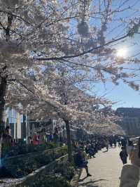 Düsseldorf - Great Asian atmosphere in Germany