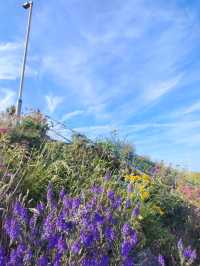 Seven Sisters hike
