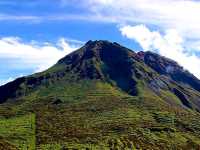 Davao City: The Philippines City of Flowers