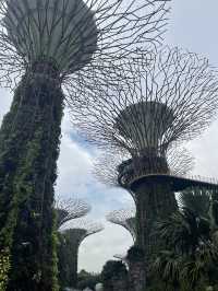 One day in Singapore without a rush