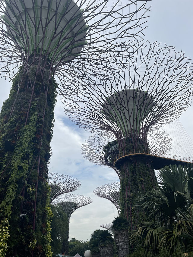 One day in Singapore without a rush