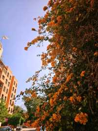 Marrakech❤️