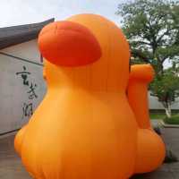 Nanjing, new funny puppets 