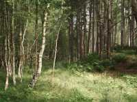 Tranquility and serenity in Freshfield 