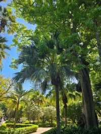 Discovering Málaga: A Perfect Blend of Sun, Culture & Tapas