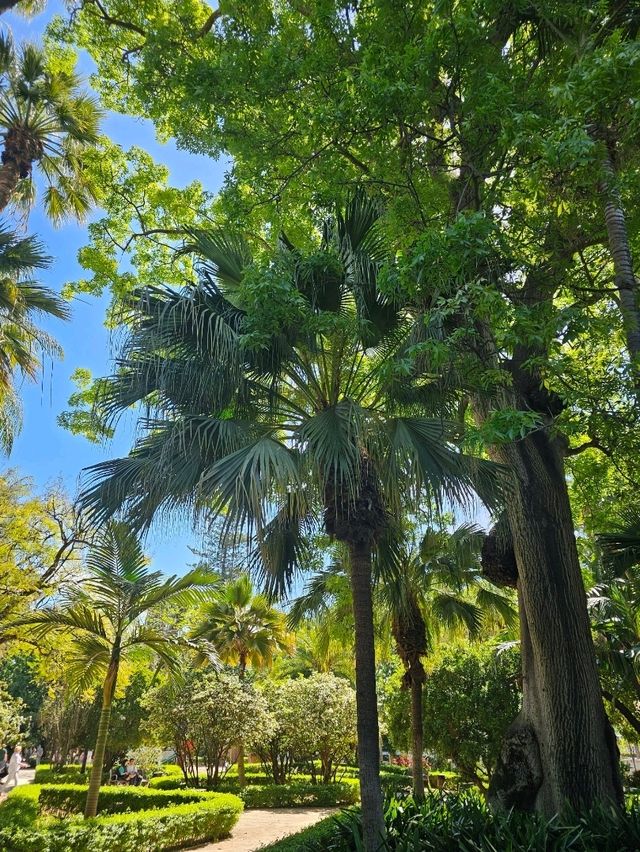 Discovering Málaga: A Perfect Blend of Sun, Culture & Tapas
