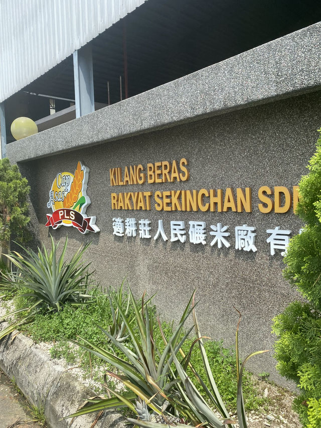 From Field to Fork: Inside Sekinchan’s Paddy Processing Factory & Rice Gallery 