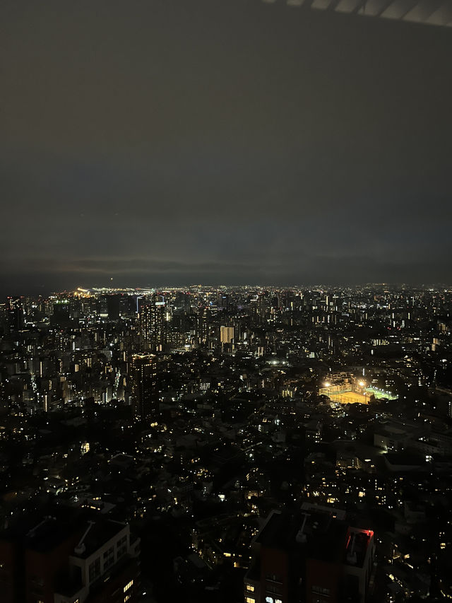 Tokyo | The best place to enjoy Tokyo view 