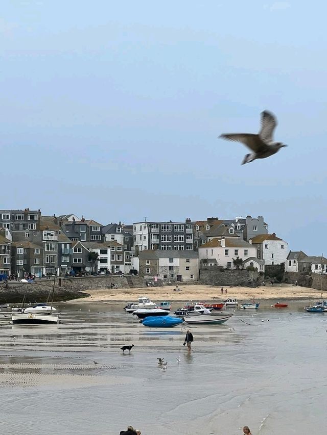 🎨 Must-See Attractions & Tips for St Ives, Cornwall 🏖️🖼️