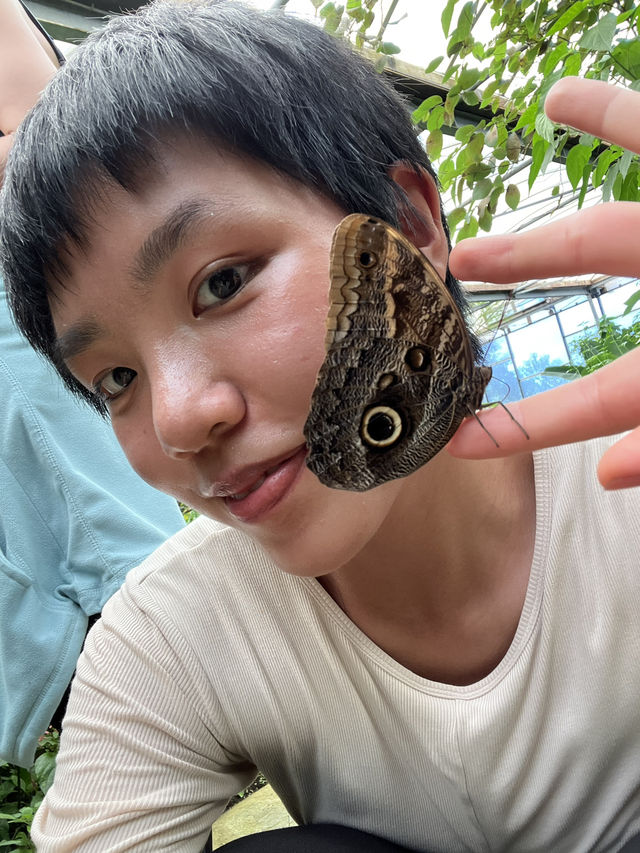 A World full of Purple Flowers and Butterflies🦋💜