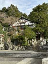 Deer, Temples & Tranquility: The Ultimate Nara Park Stroll 