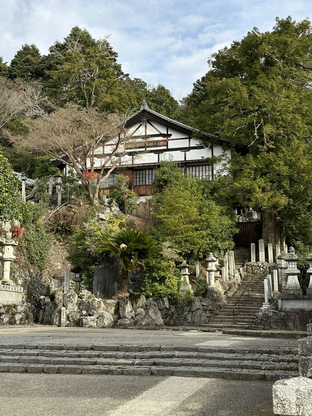 Deer, Temples & Tranquility: The Ultimate Nara Park Stroll 