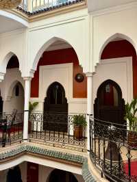 Nights of Lantern Light