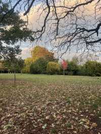 🍁 Walpole Park – Autumn Calm in the Heart of Ealing 🍂🦆