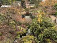 🍁 Royal Botanic Garden Edinburgh – Autumn Calm Among Rare Beauty 🌿