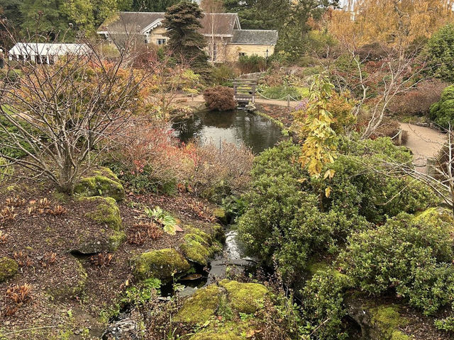 🍁 Royal Botanic Garden Edinburgh – Autumn Calm Among Rare Beauty 🌿 🍁 Royal Botanic Garden Edinburgh – Autumn Calm Among Rare Beauty 🌿