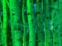 Epic Ice Sculptures✨