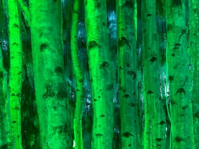 Epic Ice Sculptures✨