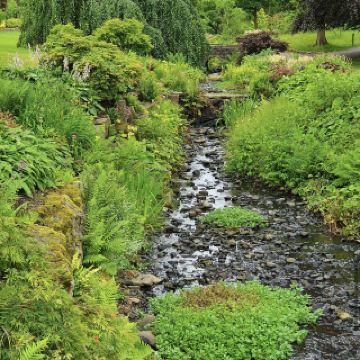 RHS Garden Harlow Carr