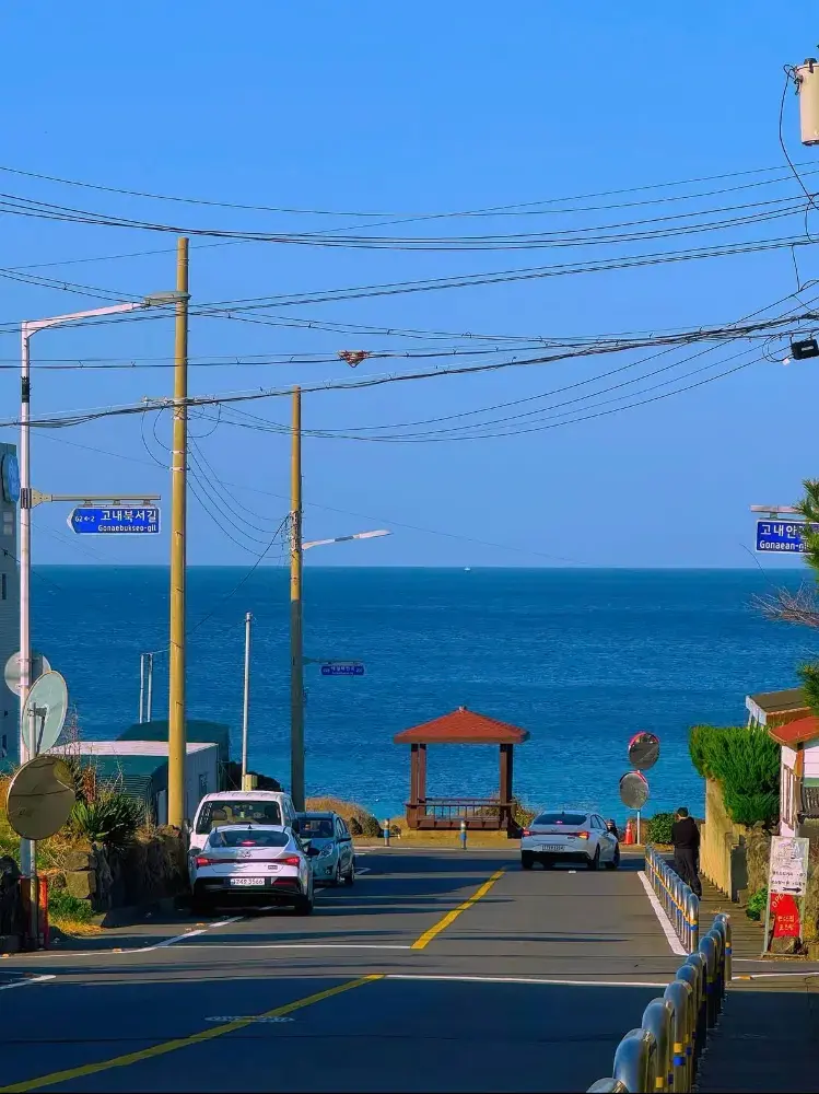 濟州島一日遊：瀑布、海岸公路和海島風格🌊🍊