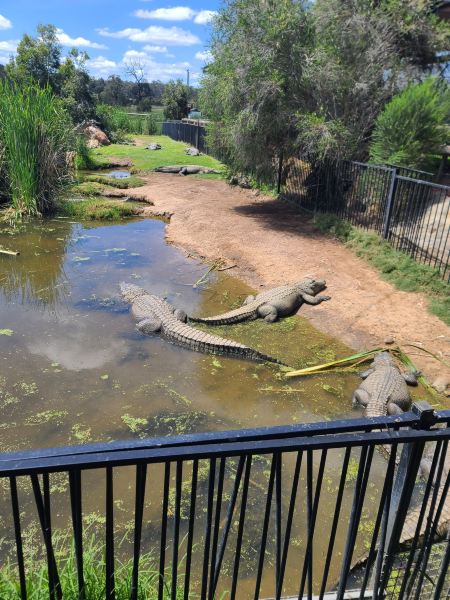 Memorable Day at Hunter Valley Wildlife Park – A Delightful Experience!