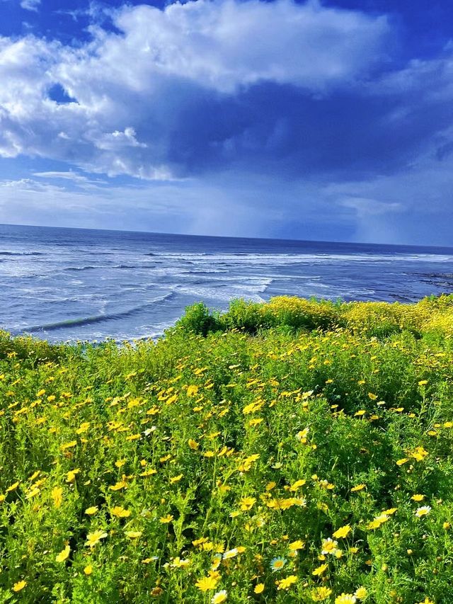 Hiking route, walking along the cliff flower sea may bring you peace...