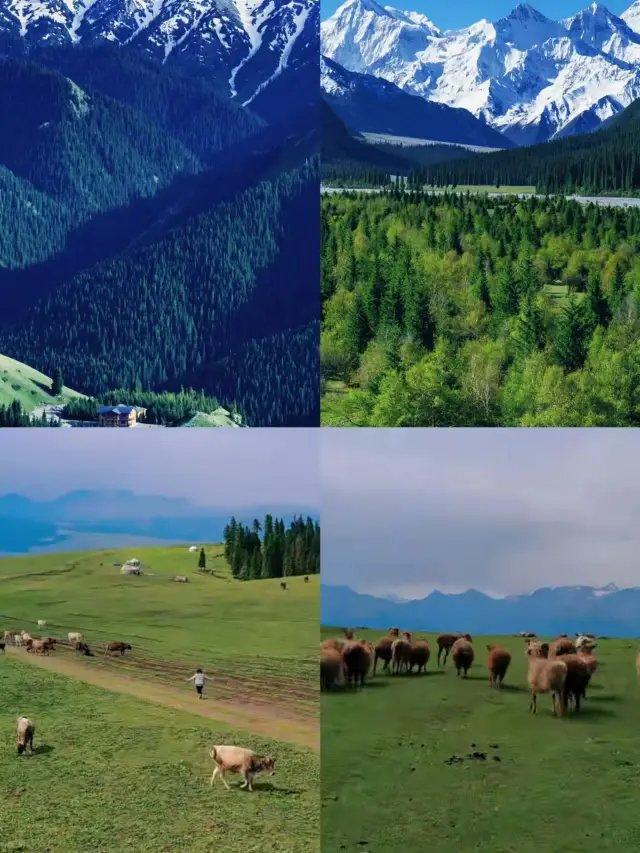 Top 10 tourist attractions worth visiting in Xinjiang!