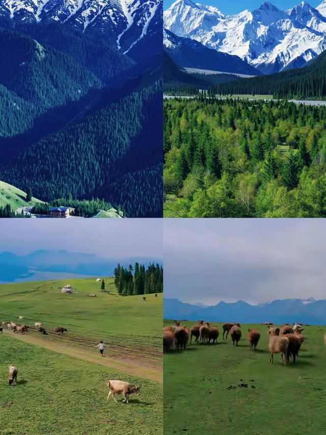 Top 10 tourist attractions worth visiting in Xinjiang!