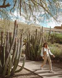 Reveling in Arizona's Treasures: 5 Highlights of My Recent Journey 🏞️🌄