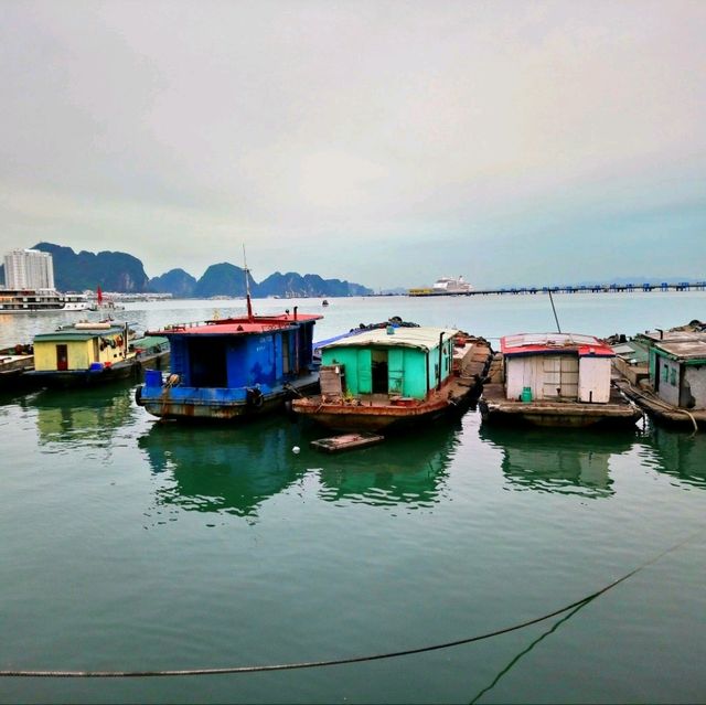 Hey! Hey! Hey! Of Ha Long Bay 👀