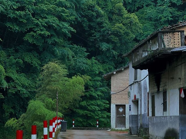 尋訪延福寺、山下鮑村，體驗感真的好強！大家一定要來一次！