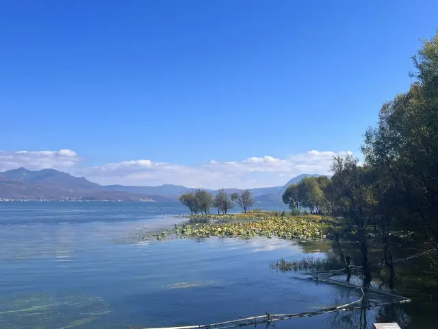 洱海｜風花雪月之景