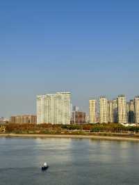 打卡南京青奥公園！散步吸氧好去處！