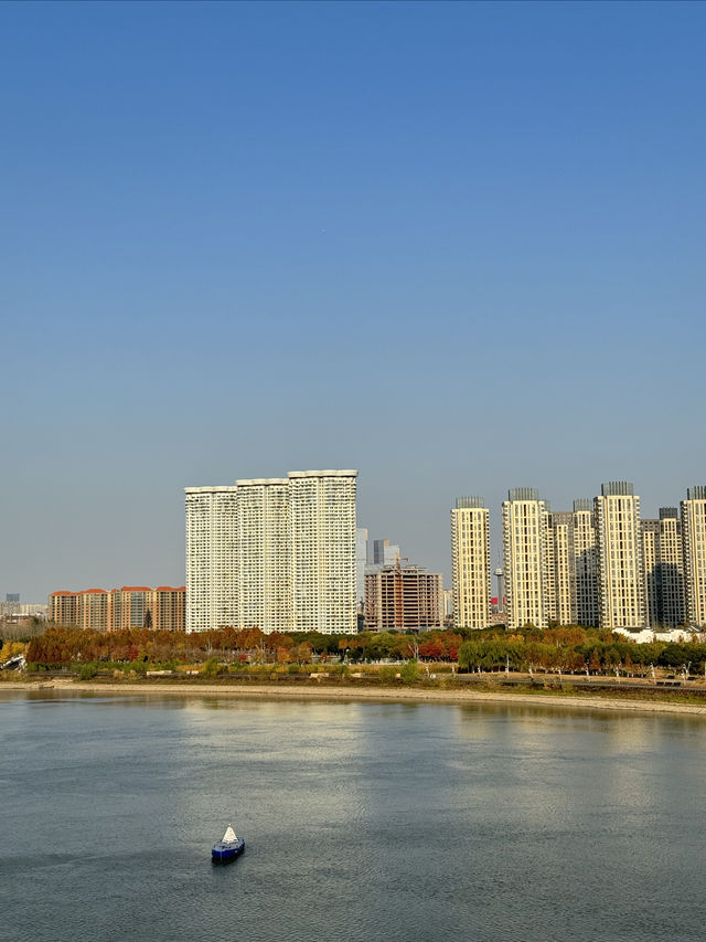 打卡南京青奥公園！散步吸氧好去處！