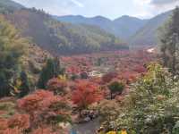 藍山谷楓葉，大自然的色彩比濾鏡艷麗